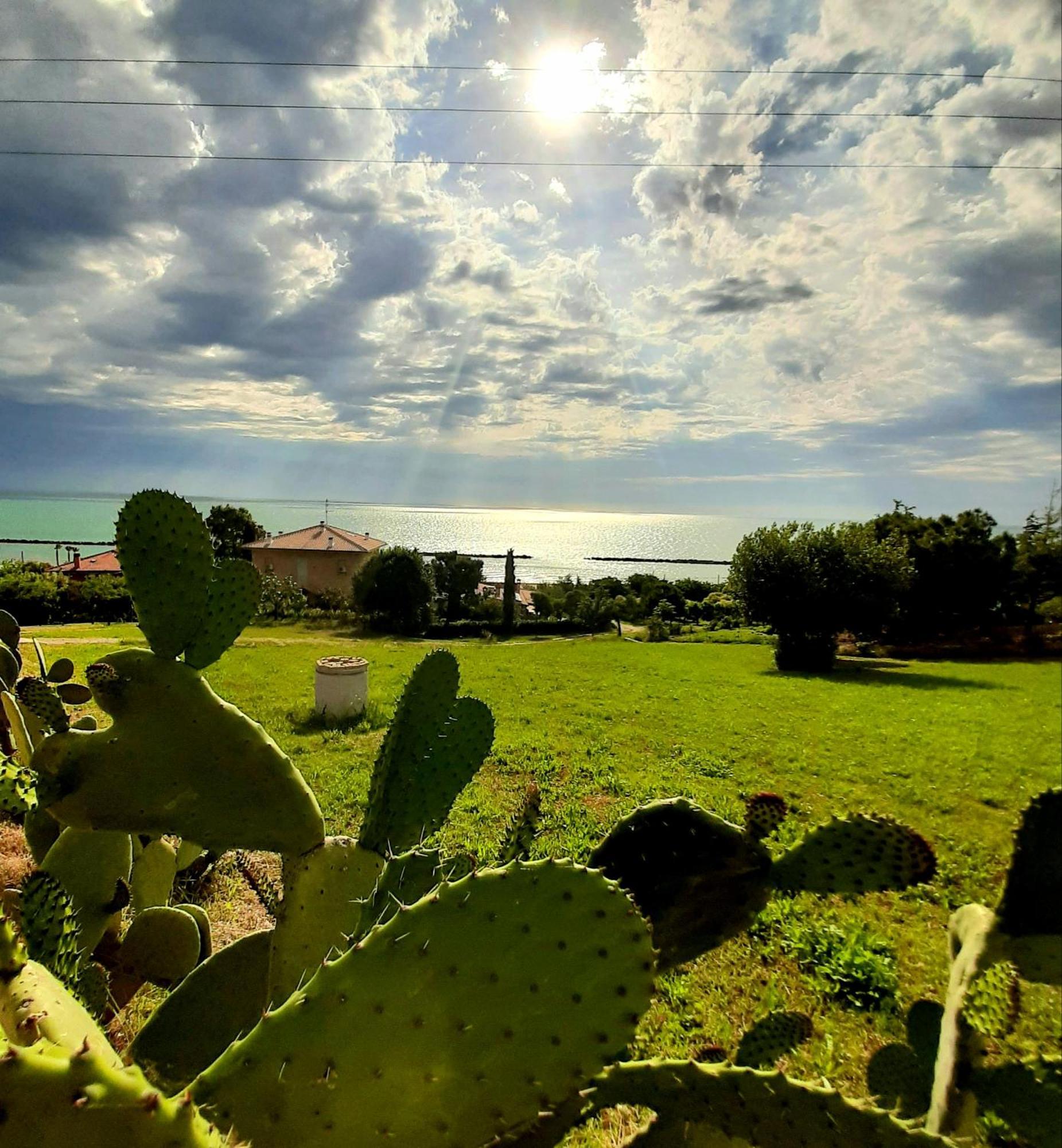 Bio Agriturismo Mare in Campagna Campofilone Esterno foto
