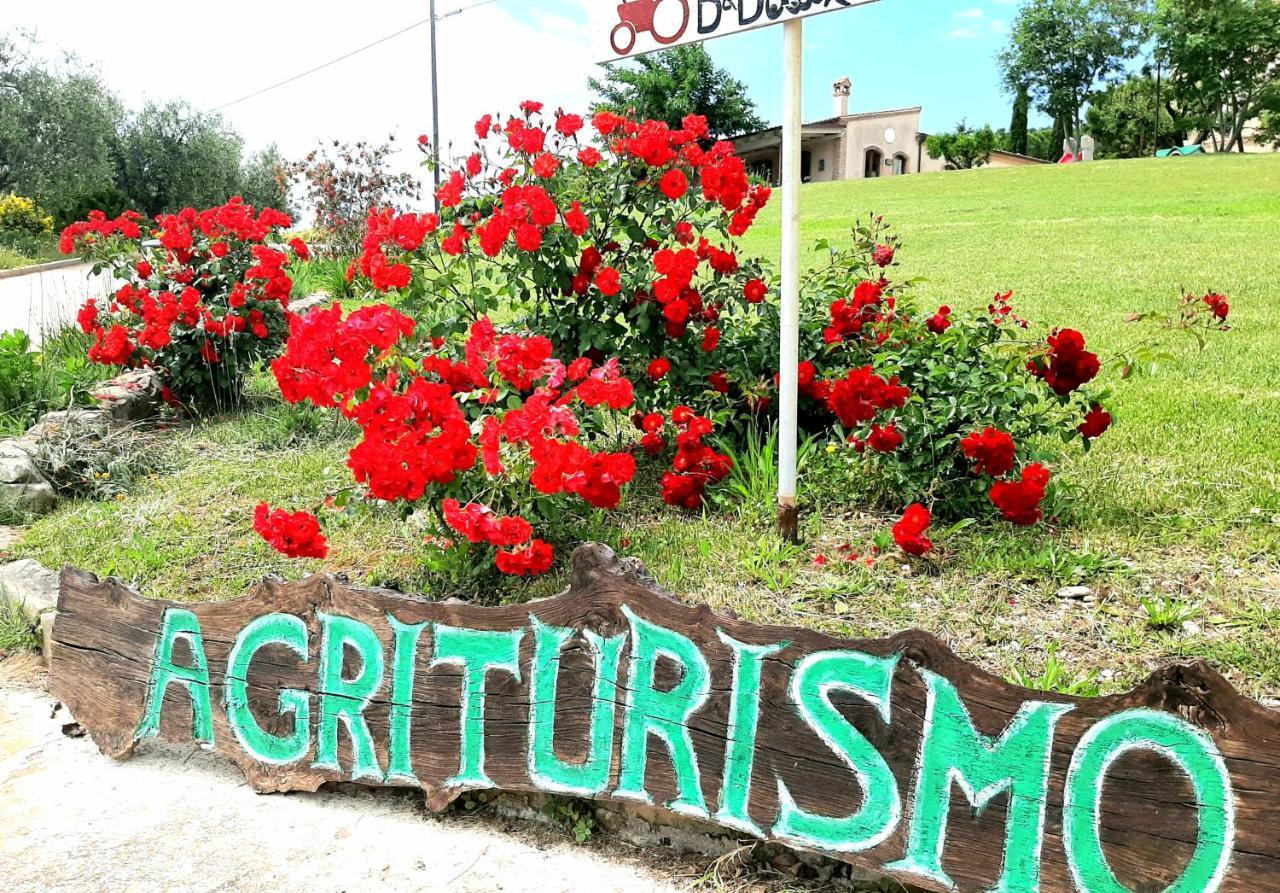 Bio Agriturismo Mare in Campagna Campofilone Esterno foto