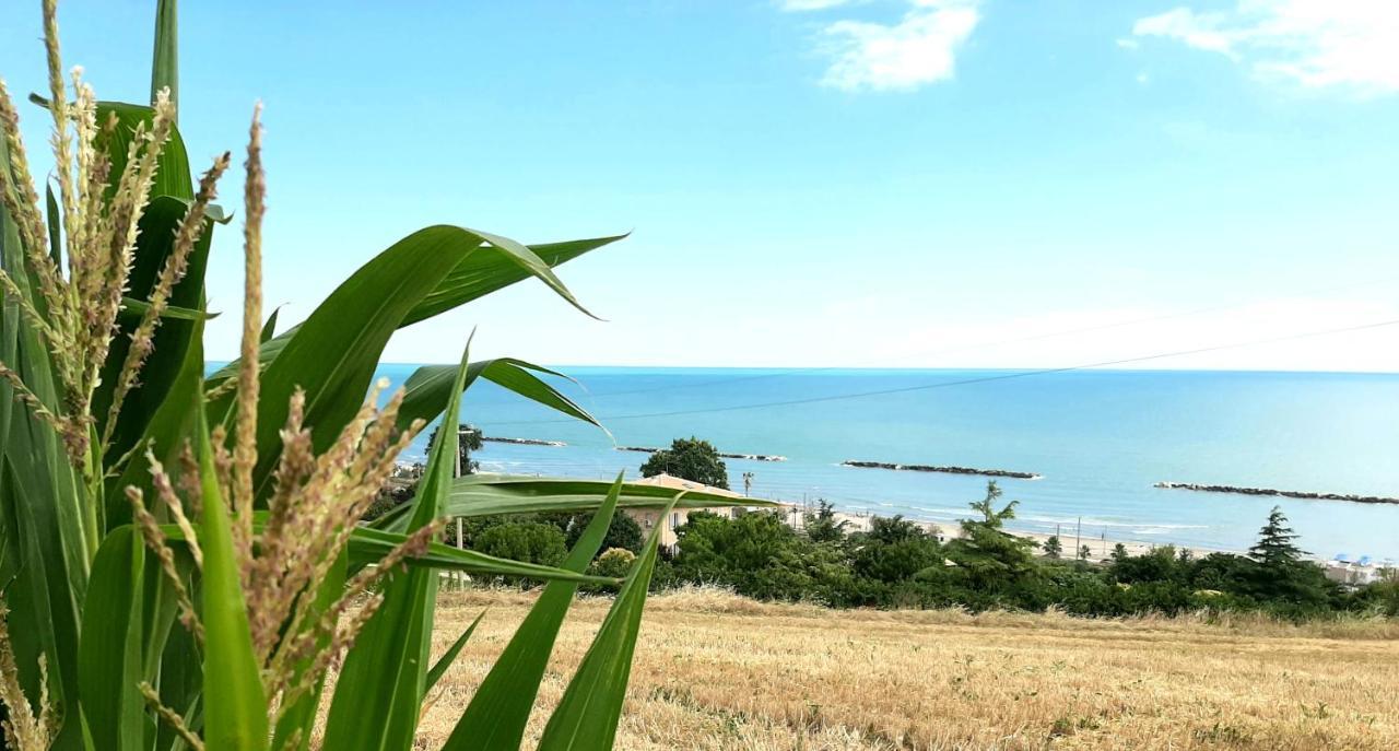 Bio Agriturismo Mare in Campagna Campofilone Esterno foto